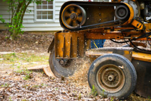 Stump Grinding